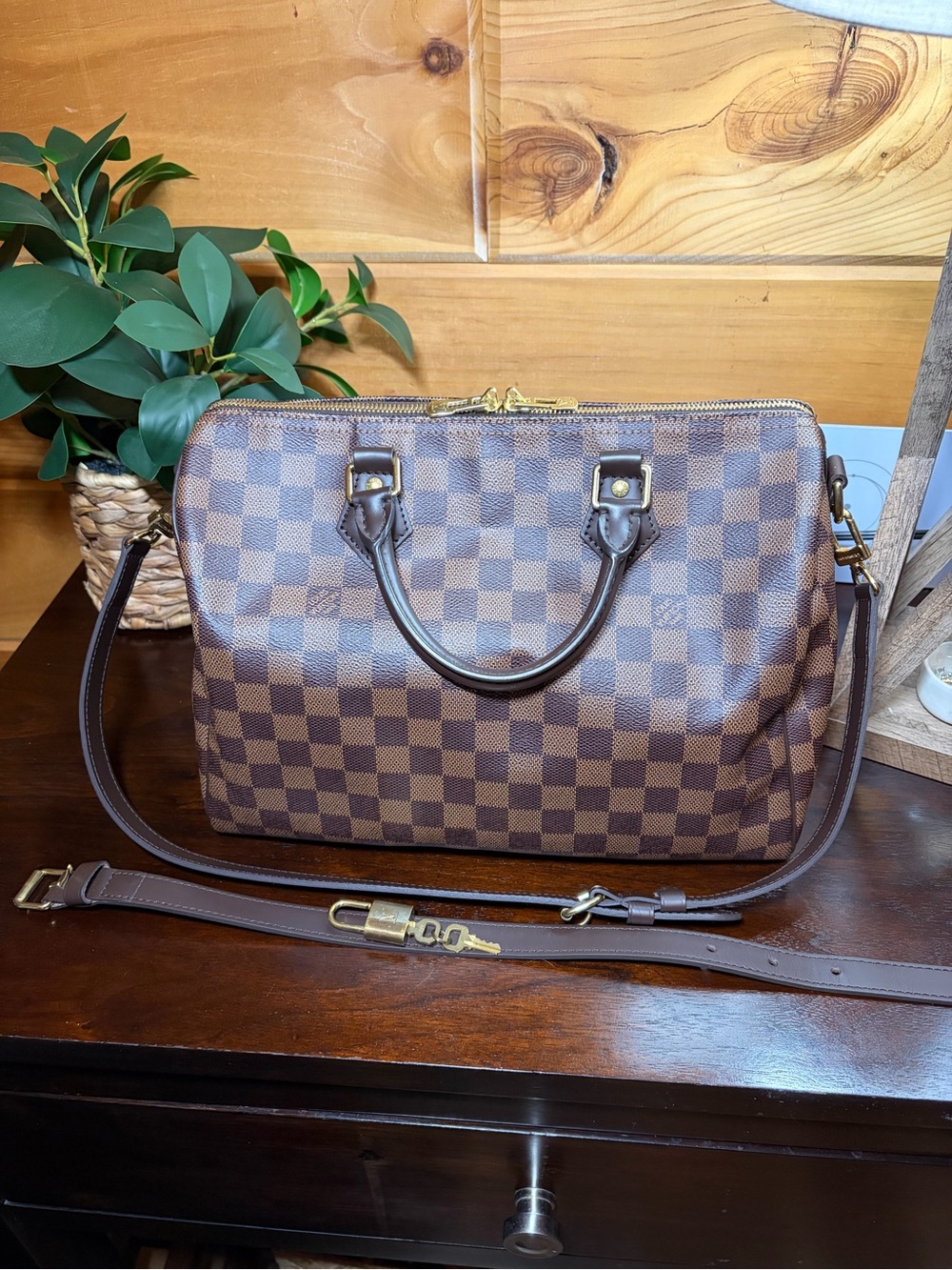Louis Vuitton Speedy 30